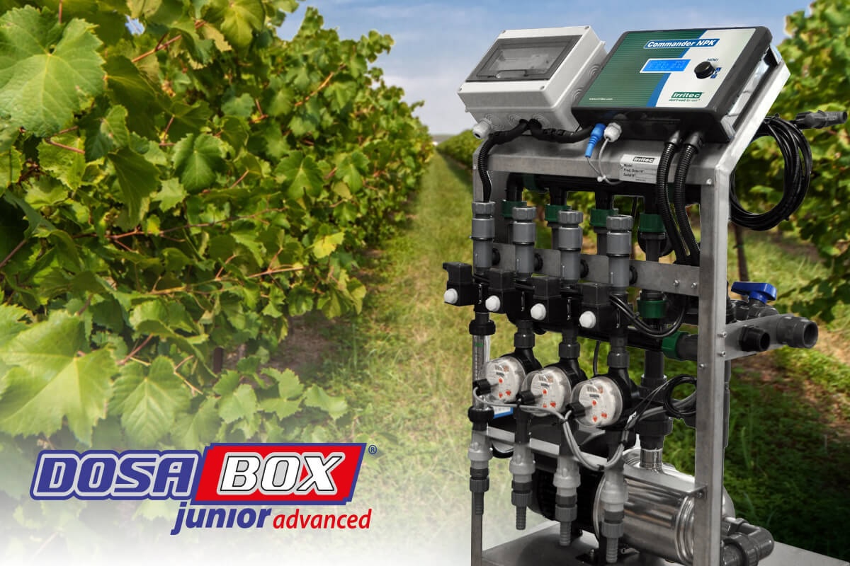 Dosabox Junior Advanced è ideale per le aziende vitivinicole che vogliono avvicinarsi alla fertirrigazione di precisione